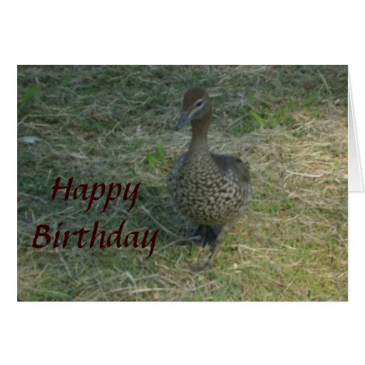 Bon anniversaire Dan Canard_de_joyeux_anniversaire_carte_de_voeux-r30b9e740b3b94e99ad1f165780598ae1_xvua8_8byvr_512