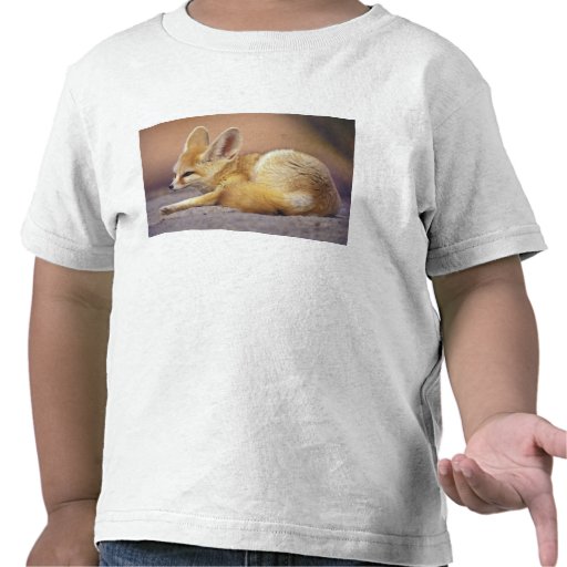 HUMOUR Spirituel Lafrique_du_nord_zerda_de_fennec_fennecus_tshirt-r7fae417201c94f60a190c537f37b1aa2_f0c6d_512