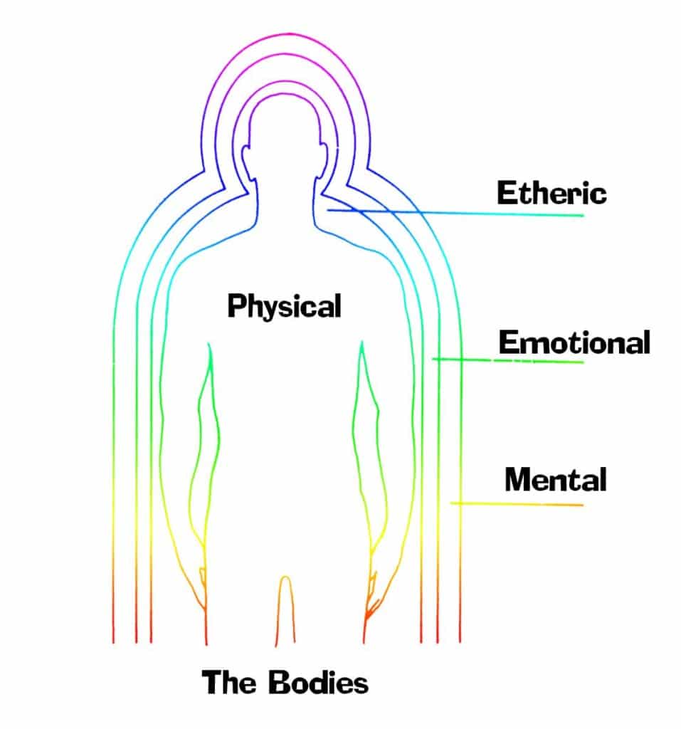 Lesson 2: Types of Projections Bodies