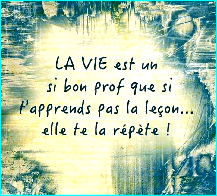 Pensée du jour ! - Page 6 La-vie-bon-professeur