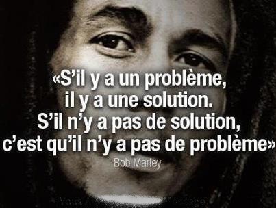 La pensée du jour - Page 6 Probleme-solution2-1