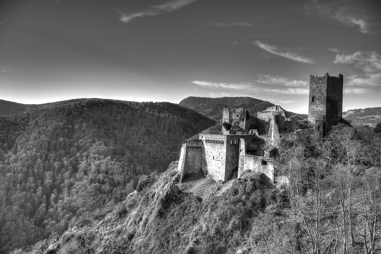 Chateau de Ribeauvillé D4S_4157