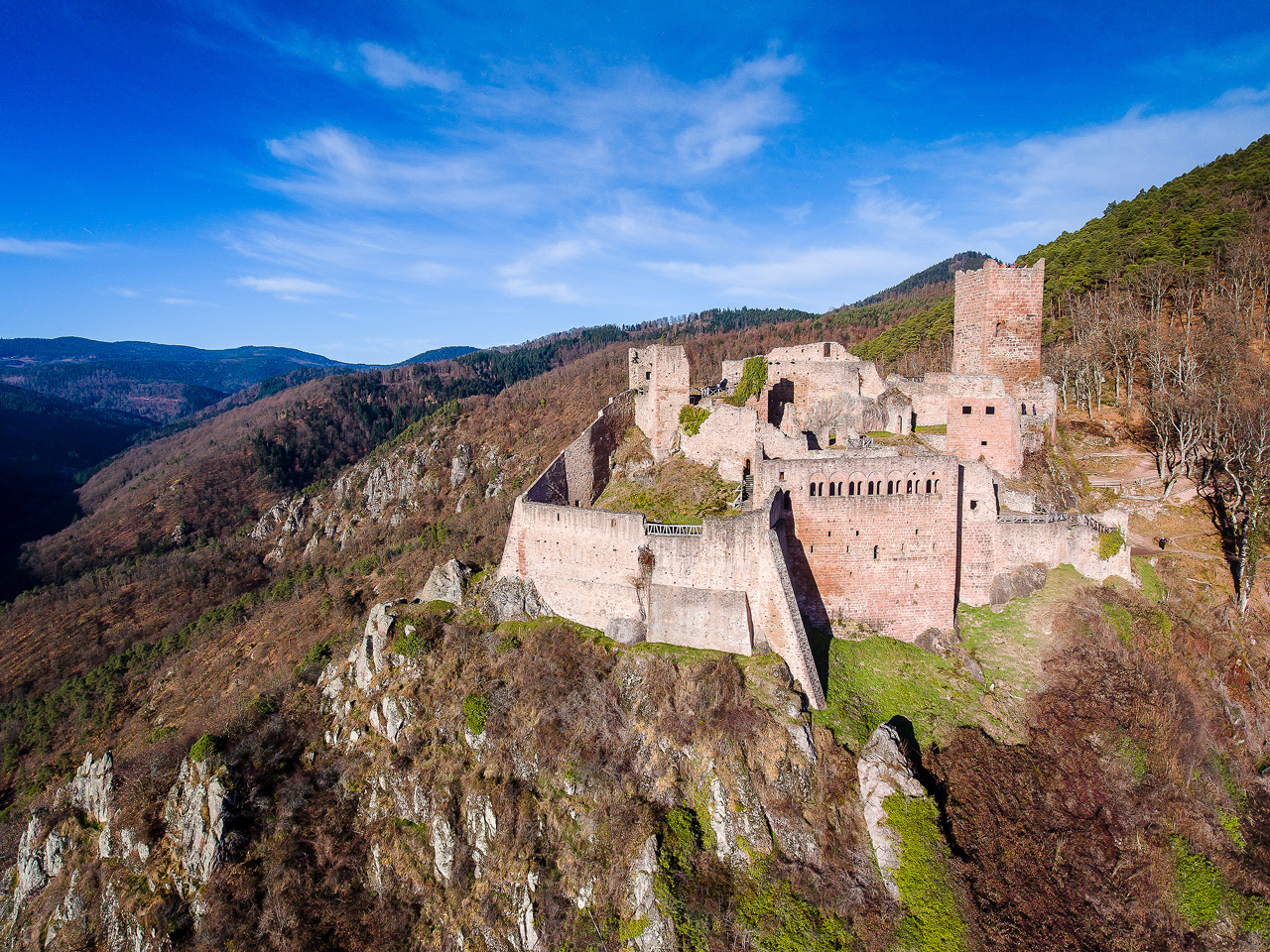 Chateau de Ribeauvillé DJI_0149