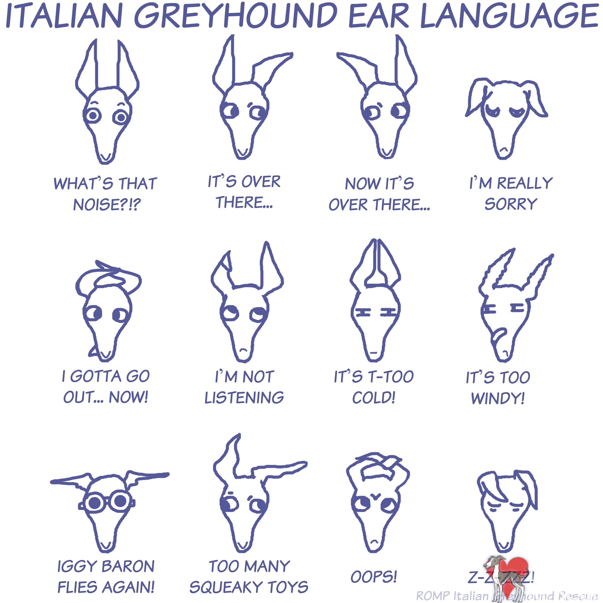 Le Greyhound IG-Ear-Language1