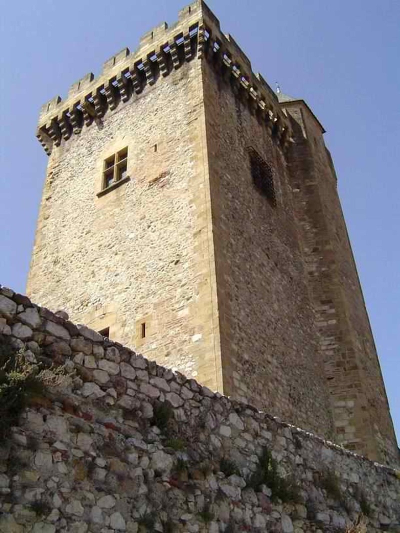 Châteaux - château des Milandes + autres.... Tour-carree-au-centre