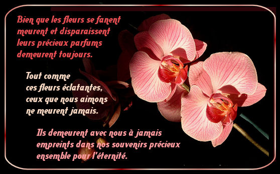 Petites citations diverses Y43z651r