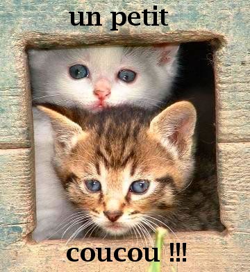 Le petit "BONJOUR" ! - Page 2 R220uq9a