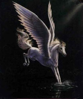 blue wadow Pegasus