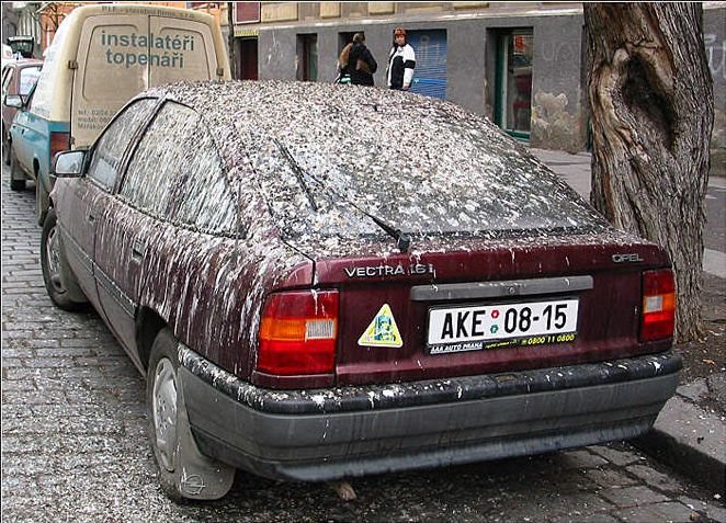 Fotos de cosas curiosas, raras, de risa, gore... extrañas vaya! - Página 34 014_autokazus_117161