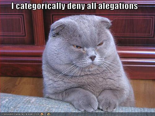 Le Flood en Images ! - Page 26 D2818_funny-pictures-cat-denies-allegations