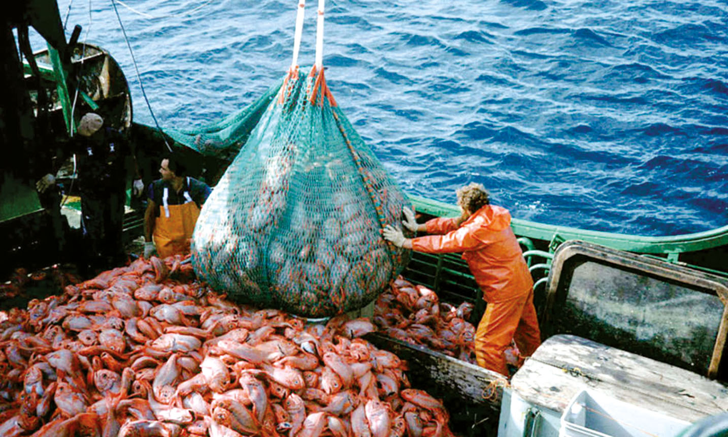 البحر المتوســط 40% مـــن أسماكه مهددة بالزوال Overfishing-overview-08022012-WEB_109842