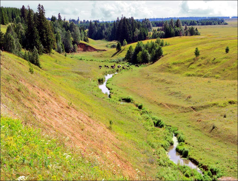 Rusija - Page 3 Tatarstan-russia-nature