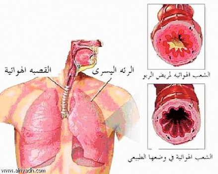 الأحجار الكريمة غنية بخباياها العجيبة وقدرتها الشفائية للاضطرابات الجسدية والنفسية والعاطفية 201017