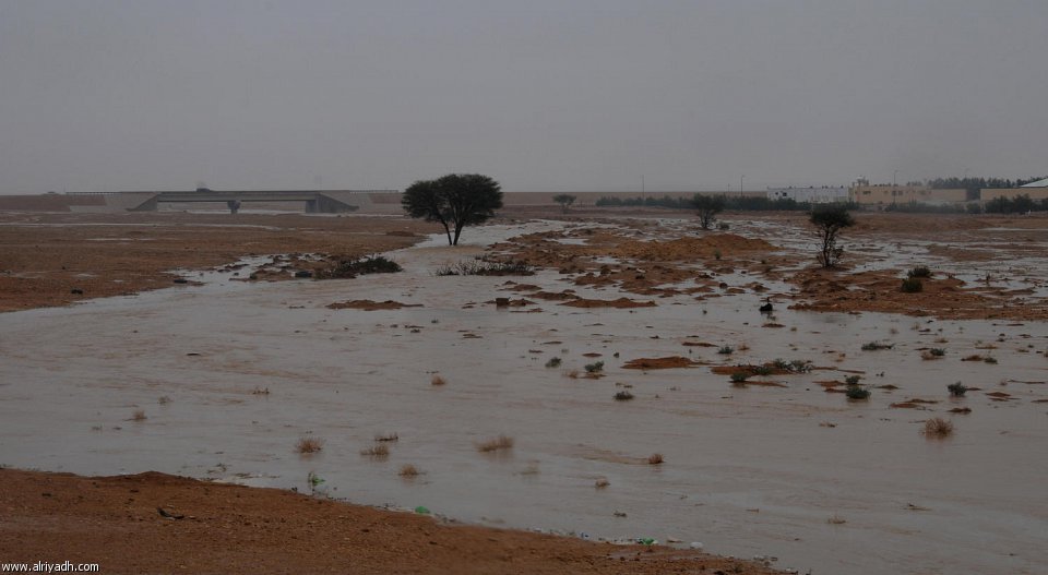 "أمطار الخير" تروي شعاب الرياض 295340718143