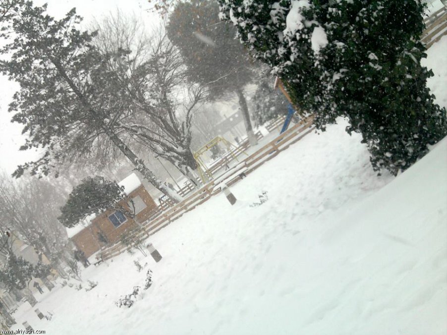 الجزائر واالثلج 2012. 009403522949