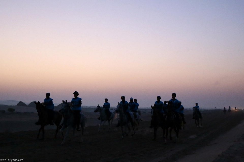 سباق القدرة والتحمل 097297104091