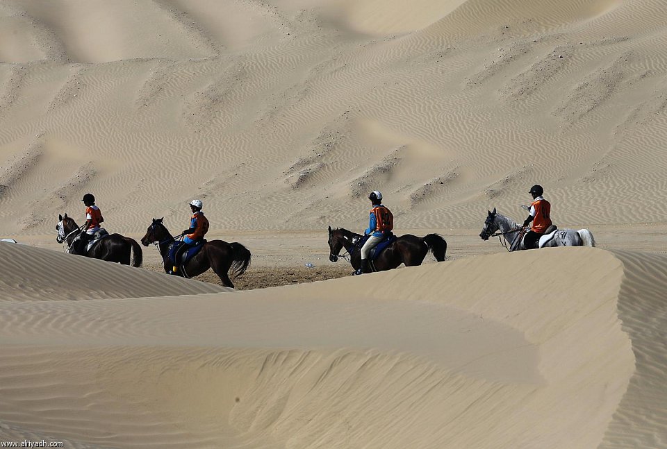 سباق القدرة والتحمل 499042403911