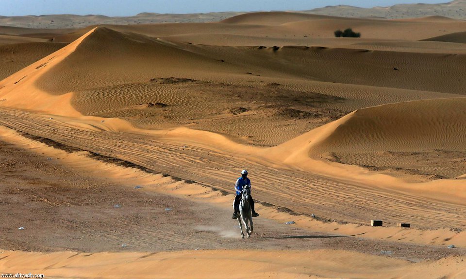 سباق القدرة والتحمل 728009484233