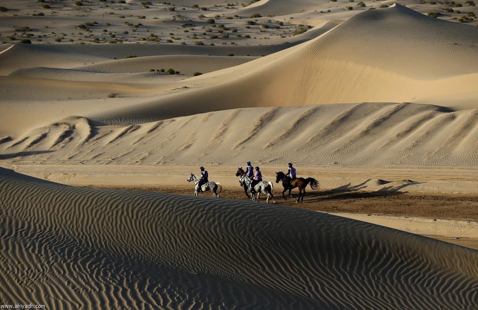 سباق القدرة والتحمل 858760444518