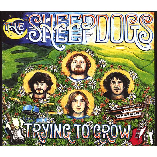 ¿Qué estáis escuchando ahora? Sheepdogs-trying-to-grow-import