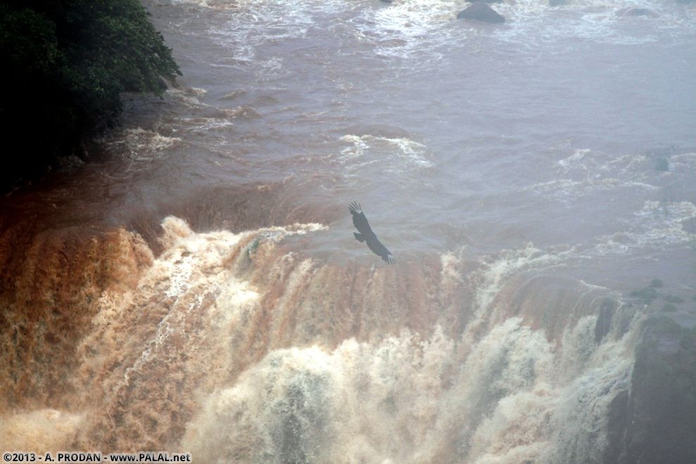 Cataratas del Iguazú 76b5ff52929e7367c3e9a7ccdf37b0d5