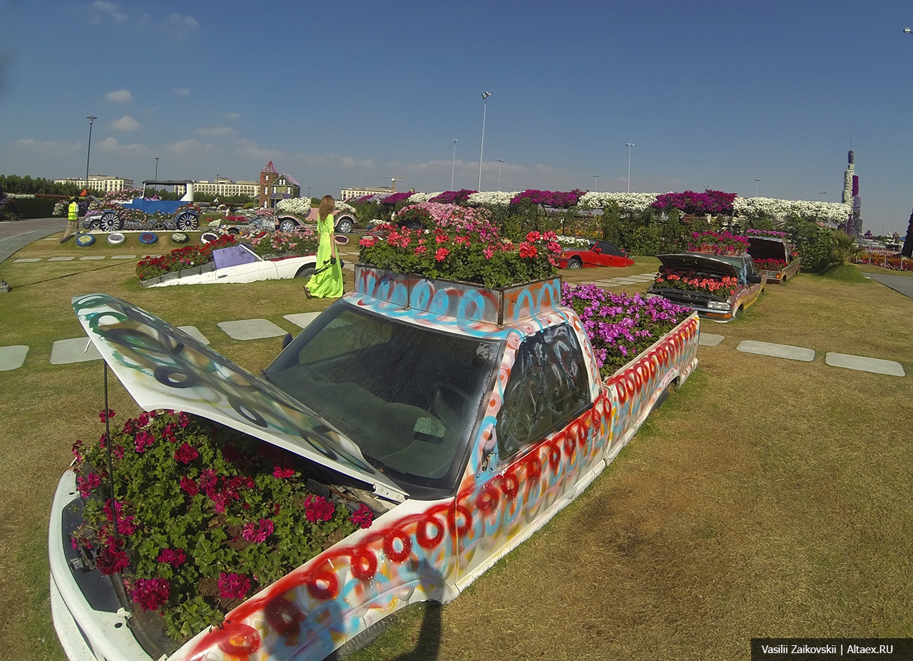 Dubai Miracle Garden GOPR2233