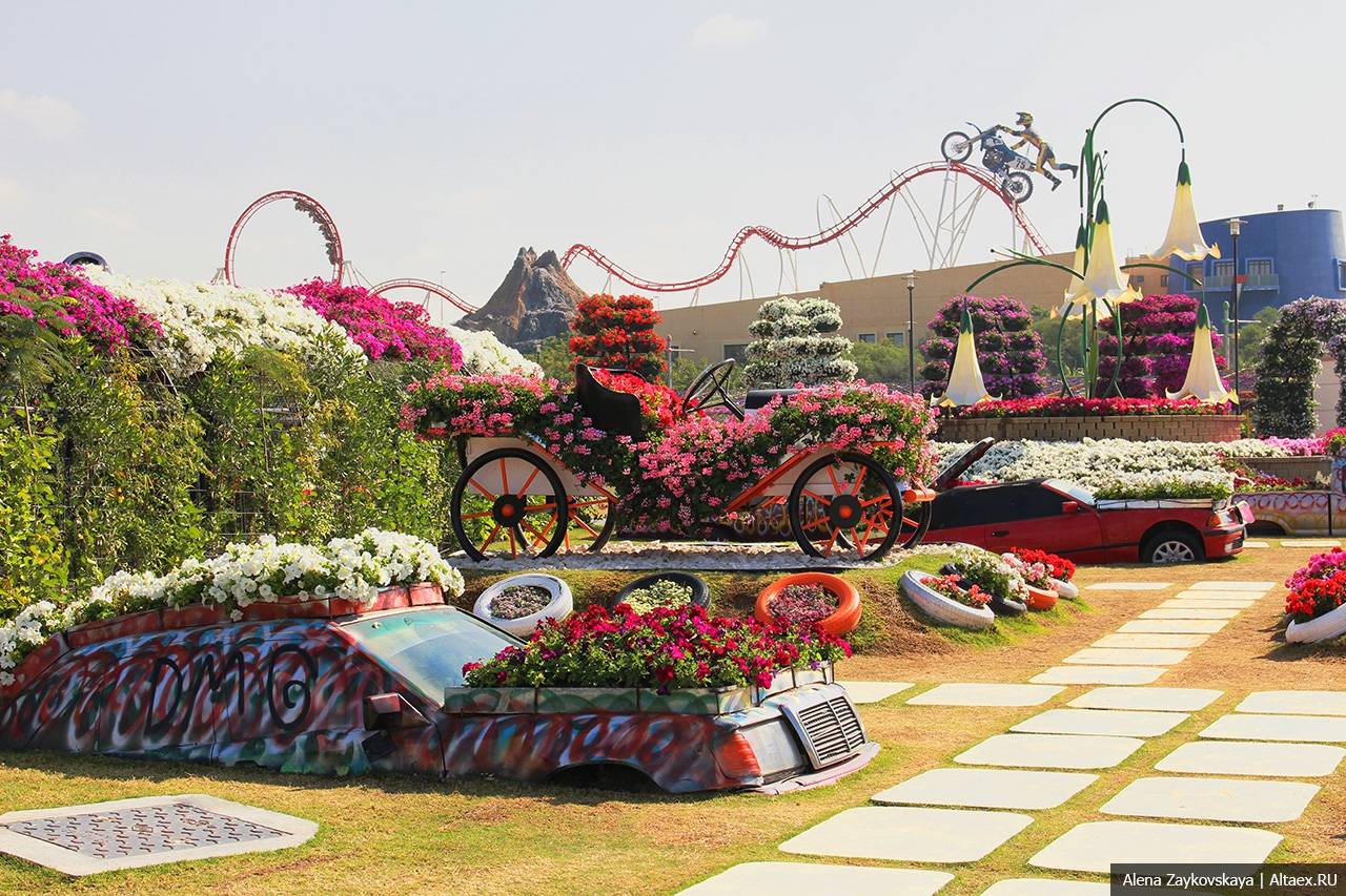 Dubai Miracle Garden IMG_1351