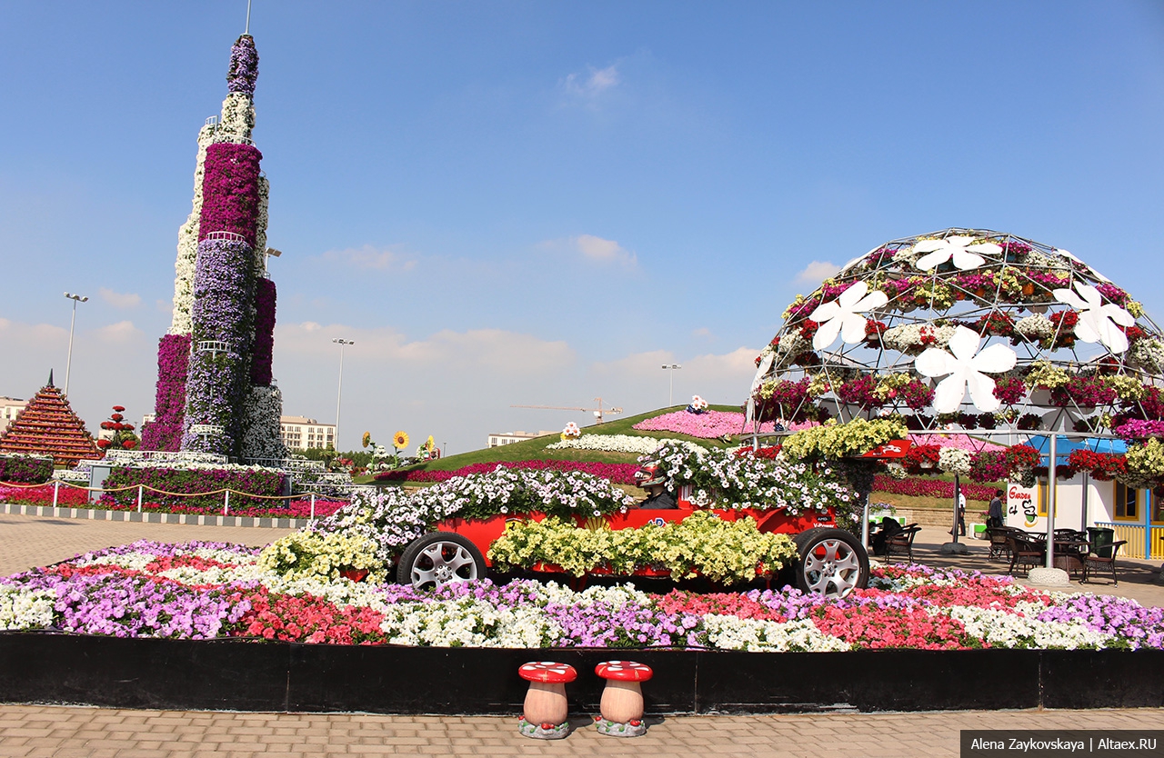 Dubai Miracle Garden IMG_1399