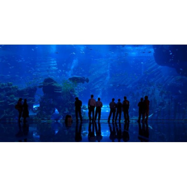 Dubai Mall Aquarium A8ddc6bf9016daa40ab32fb3c4db09ab