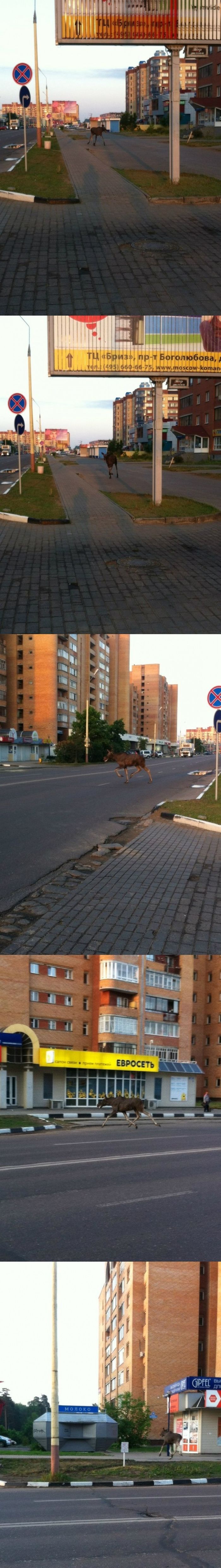 Cosas que pasan en Rusia 1_8