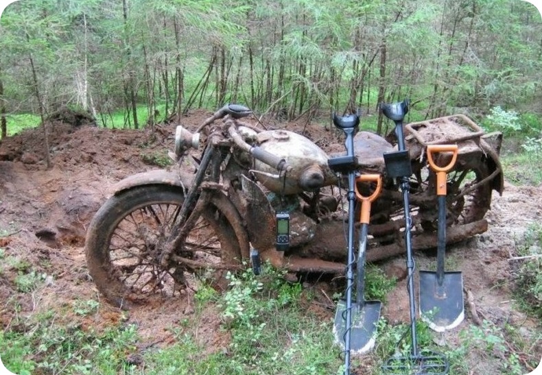 Cosas que te encuentras en el bosque 1_010