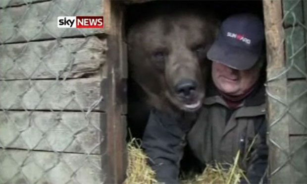 Urso medroso só consegue pegar no sono se dormir com treinador Urso2