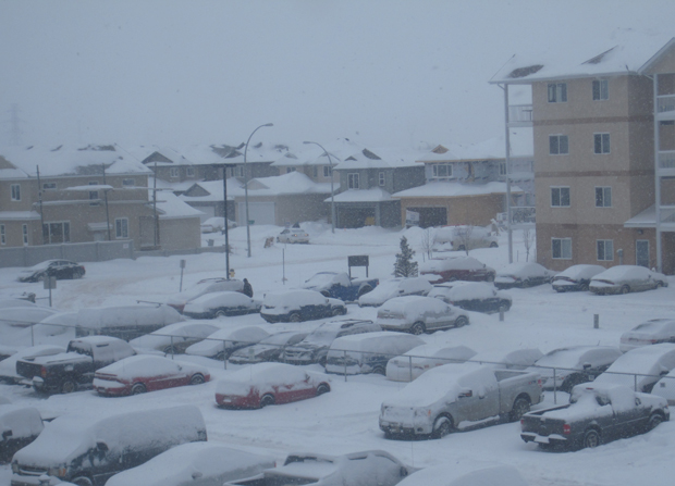 Internauta fotografa carros cobertos pela neve no Canadá Glendaline-correa-de-souza