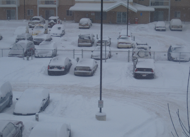 Internauta fotografa carros cobertos pela neve no Canadá Glendaline-correa-de-souza2