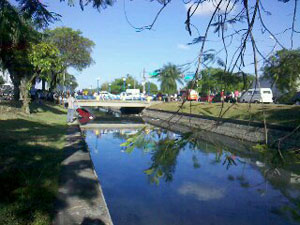 Carro cai dentro de canal do bairro de Campo Grande, no Recife Carro-canal---wanessa