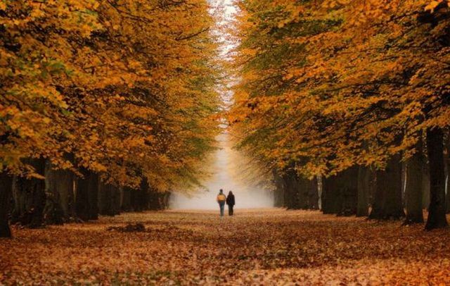 صور لا مثيل لها روعة  - صفحة 3 Beautiful_fall_in_photos_06