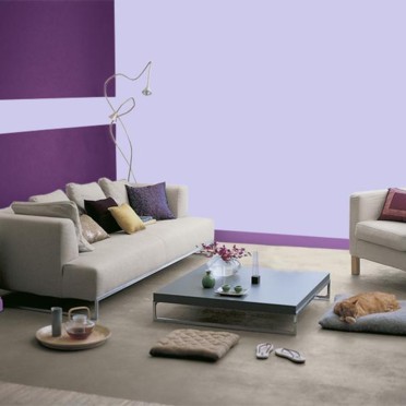 ديكوات باللون البنفسجي Peinture-deco-violet-salon-dulux-valentine-2518330_1350