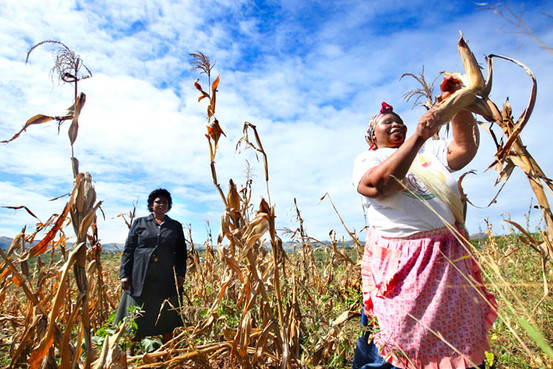 afrique du sud. qui sera la first lady ? ? NA-AX406_POLYGA_G_20090429174700