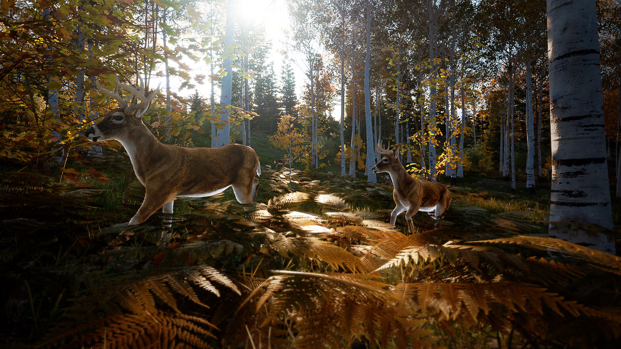 تحميل لعبة HUNTING SIMULATOR 2 نسخة ريباك بمساحة 4.2 GB Screenshot.hunting-simulator-2.1280x720.2020-04-14.8