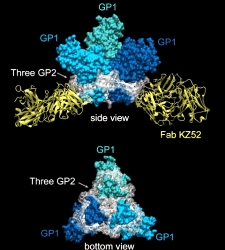 #Alerta en California por posible contagio de tuberculosis a 350 bebés#SEGUIMIENTO DE ENFERMEDADES LETALES     (VIRUS,CONTAGIOS,MUERTES) ETC. Virus_ebola