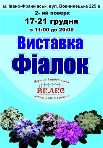 Фіалочки Ac214026a9a9