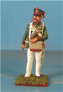 VID soldiers - Napoleonic russian army sets 22bf74b237bdt