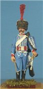 VID soldiers - Napoleonic french army sets 39c4f6b5d18bt