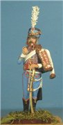VID soldiers - Napoleonic french army sets 33f71d648cd8t