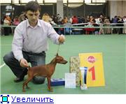 Tchernaja Kalitva kennel Dbad504f0c23t