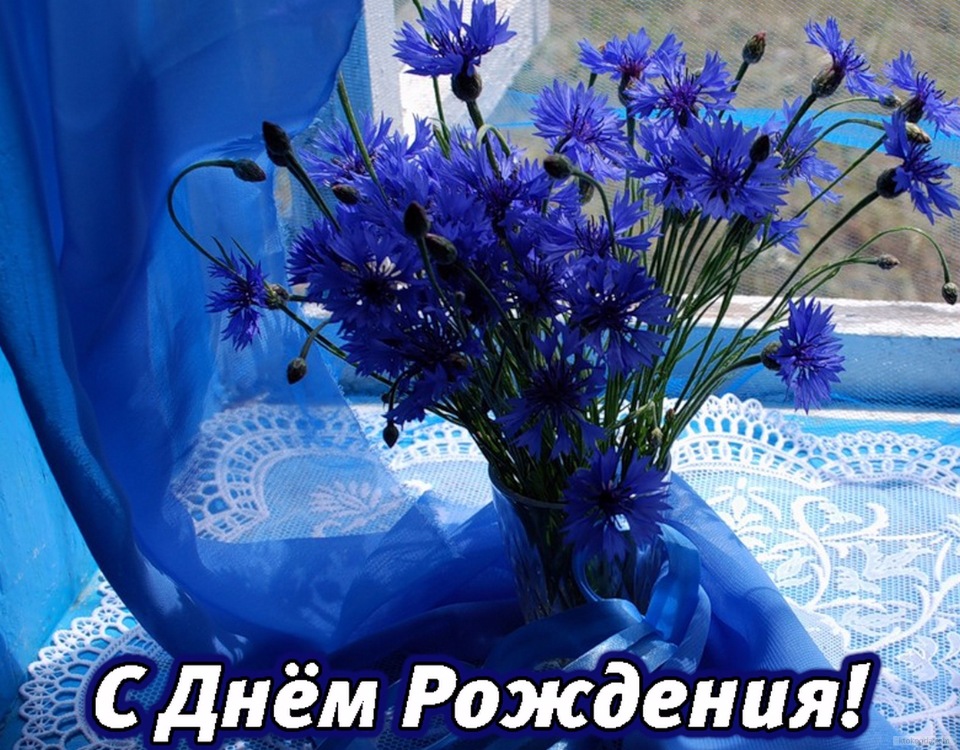 S Dnyom Rozhdeniya Olga Mihajlovna 14 Maya 2016 Blog
