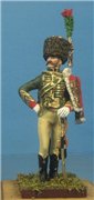 VID soldiers - Napoleonic french army sets 817a76039f2at