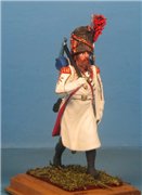 VID soldiers - Napoleonic french army sets - Page 3 6d55004d85a5t