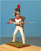VID soldiers - Napoleonic polish army sets 650ae4d3df62t