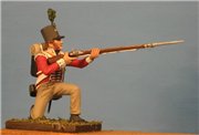 VID soldiers - Napoleonic british army sets 148fb296868ft